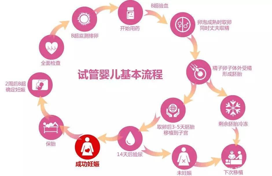 试管婴儿流程 试管婴儿流程