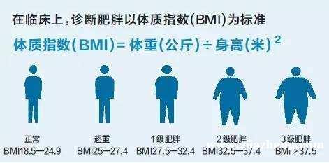 肥胖的算法BMI