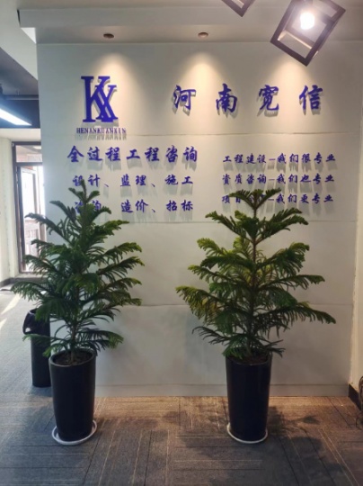 急急急出河南省规划乙级资质企业